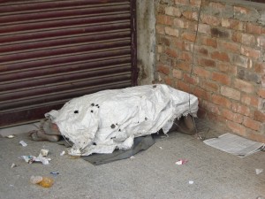 "Sleeping Citizen on the Street"